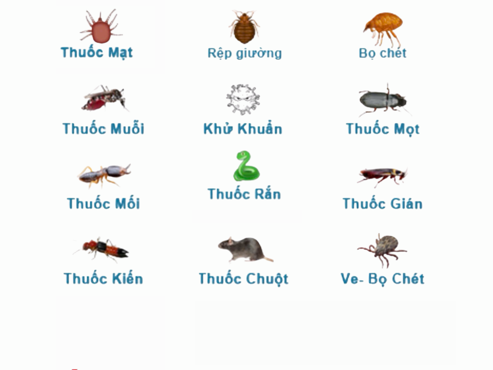 Ve, rệp và mạt yến – Ký sinh trùng gây nguy hiểm